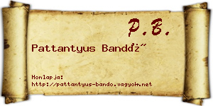 Pattantyus Bandó névjegykártya